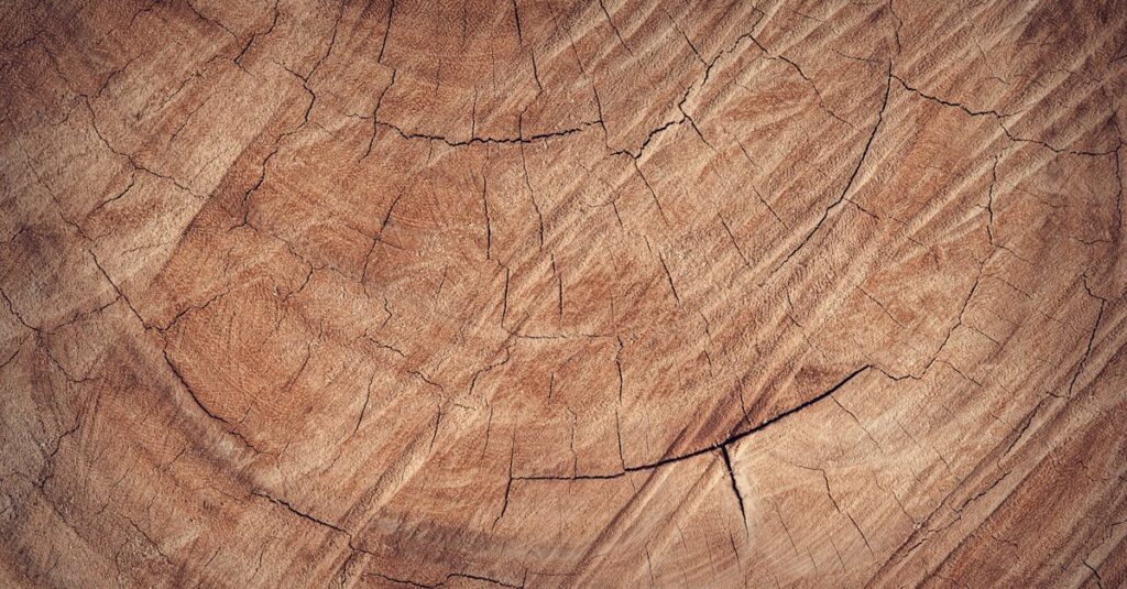 Detailed close-up of rustic brown wood texture, revealing natural grain and cracks.